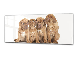 Glass Print Wall Art – Image on Glass 125 x 50 cm (≈ 50” x 20”) ; Puppies