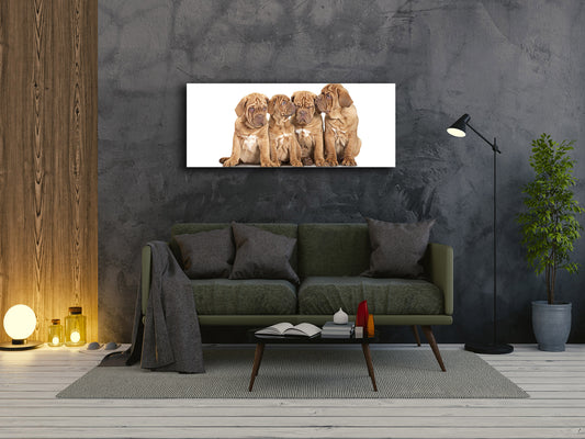Glass Print Wall Art – Image on Glass 125 x 50 cm (? 50” x 20”) ; Puppies