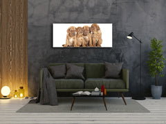 Glass Print Wall Art – Image on Glass 125 x 50 cm (? 50” x 20”) ; Puppies