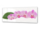 Glass Print Wall Art – Image on Glass 125 x 50 cm (≈ 50” x 20”) ; Orchid 8