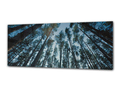 Glass Print Wall Art – Image on Glass 125 x 50 cm (? 50” x 20”) ; Trees 9