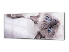 Glass Print Wall Art – Image on Glass 125 x 50 cm (? 50” x 20”) ; Cat 2