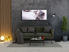 Glass Print Wall Art – Image on Glass 125 x 50 cm (? 50” x 20”) ; Cat 2