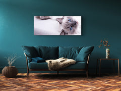 Glass Print Wall Art – Image on Glass 125 x 50 cm (? 50” x 20”) ; Cat 2