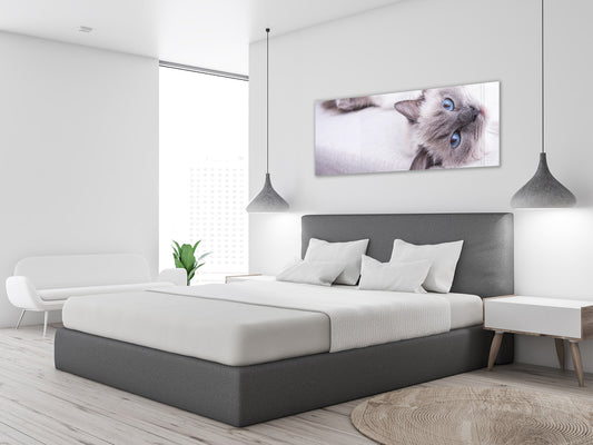 Glass Print Wall Art – Image on Glass 125 x 50 cm (? 50” x 20”) ; Cat 2