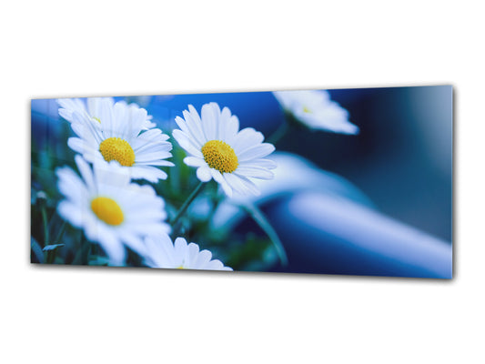 Glass Print Wall Art – Image on Glass 125 x 50 cm (? 50” x 20”) ; Flower 21