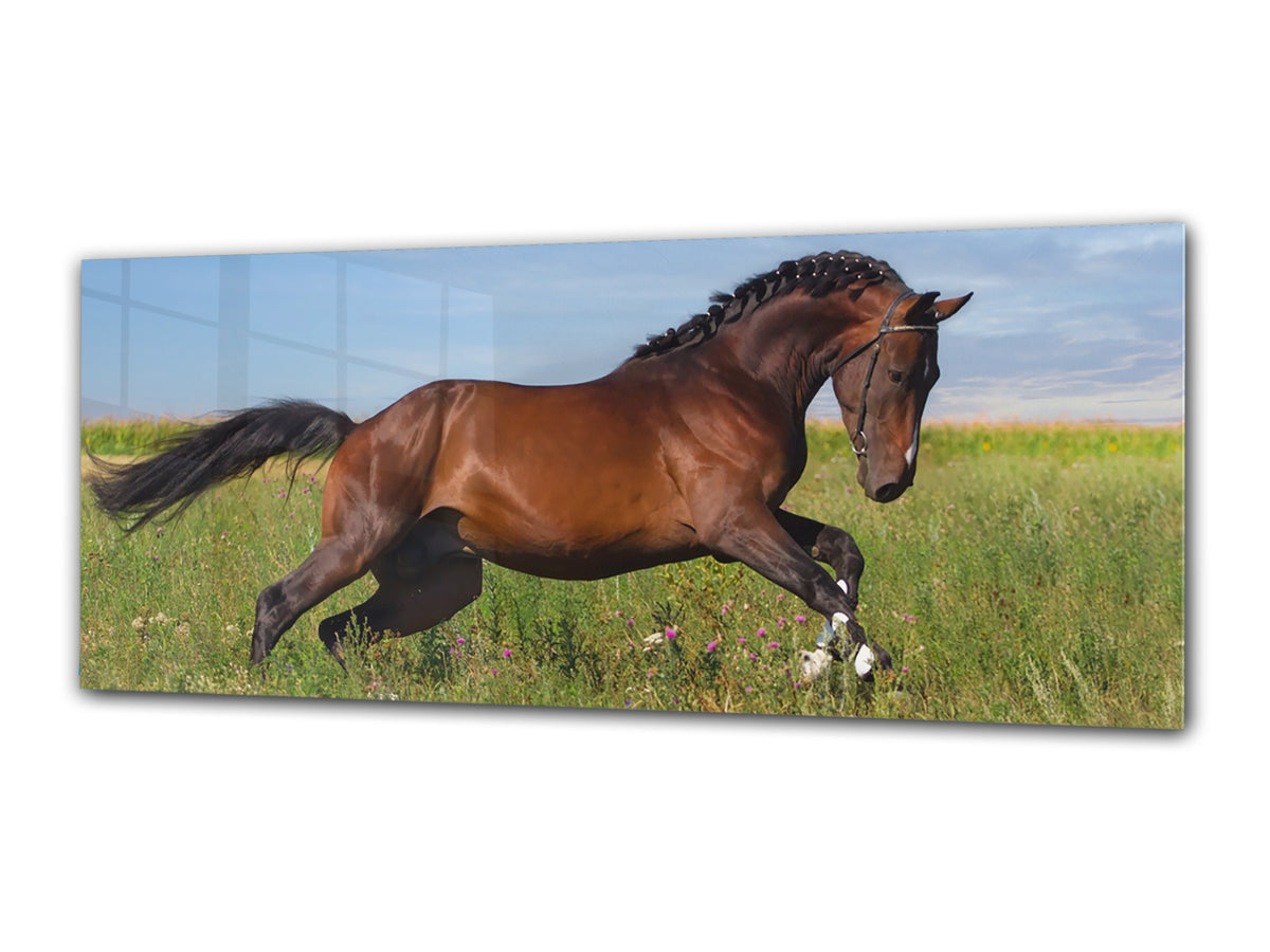 Glass Print Wall Art – Image on Glass 125 x 50 cm (? 50” x 20”) ; Horse