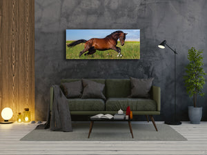 Glass Print Wall Art – Image on Glass 125 x 50 cm (≈ 50” x 20”) ; Horse