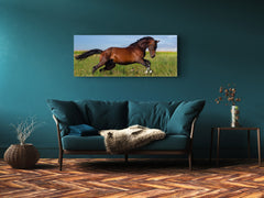 Glass Print Wall Art – Image on Glass 125 x 50 cm (? 50” x 20”) ; Horse