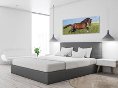 Glass Print Wall Art – Image on Glass 125 x 50 cm (? 50” x 20”) ; Horse