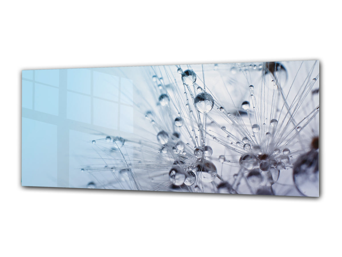 Glass Print Wall Art – Image on Glass 125 x 50 cm (? 50” x 20”) ; Dandelion 4