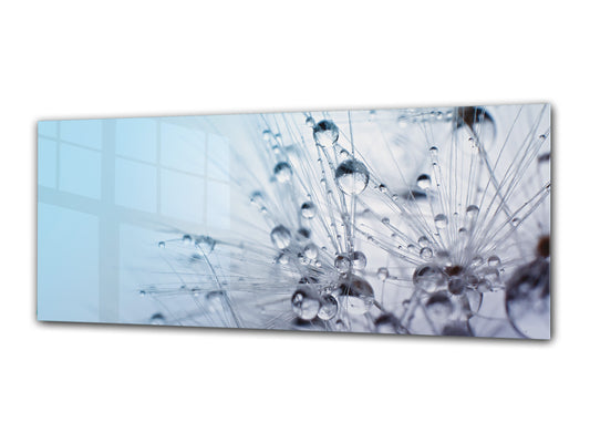 Glass Print Wall Art – Image on Glass 125 x 50 cm (? 50” x 20”) ; Dandelion 4