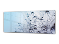 Glass Print Wall Art – Image on Glass 125 x 50 cm (? 50” x 20”) ; Dandelion 4