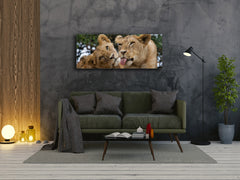 Glass Print Wall Art – Image on Glass 125 x 50 cm (? 50” x 20”) ; Lions