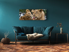 Glass Print Wall Art – Image on Glass 125 x 50 cm (? 50” x 20”) ; Lions