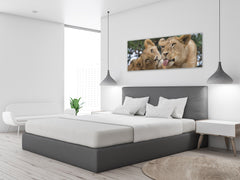 Glass Print Wall Art – Image on Glass 125 x 50 cm (? 50” x 20”) ; Lions