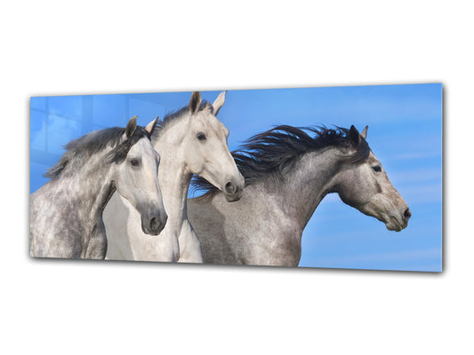 Glass Print Wall Art – Image on Glass 125 x 50 cm (? 50” x 20”) ; Horses 6