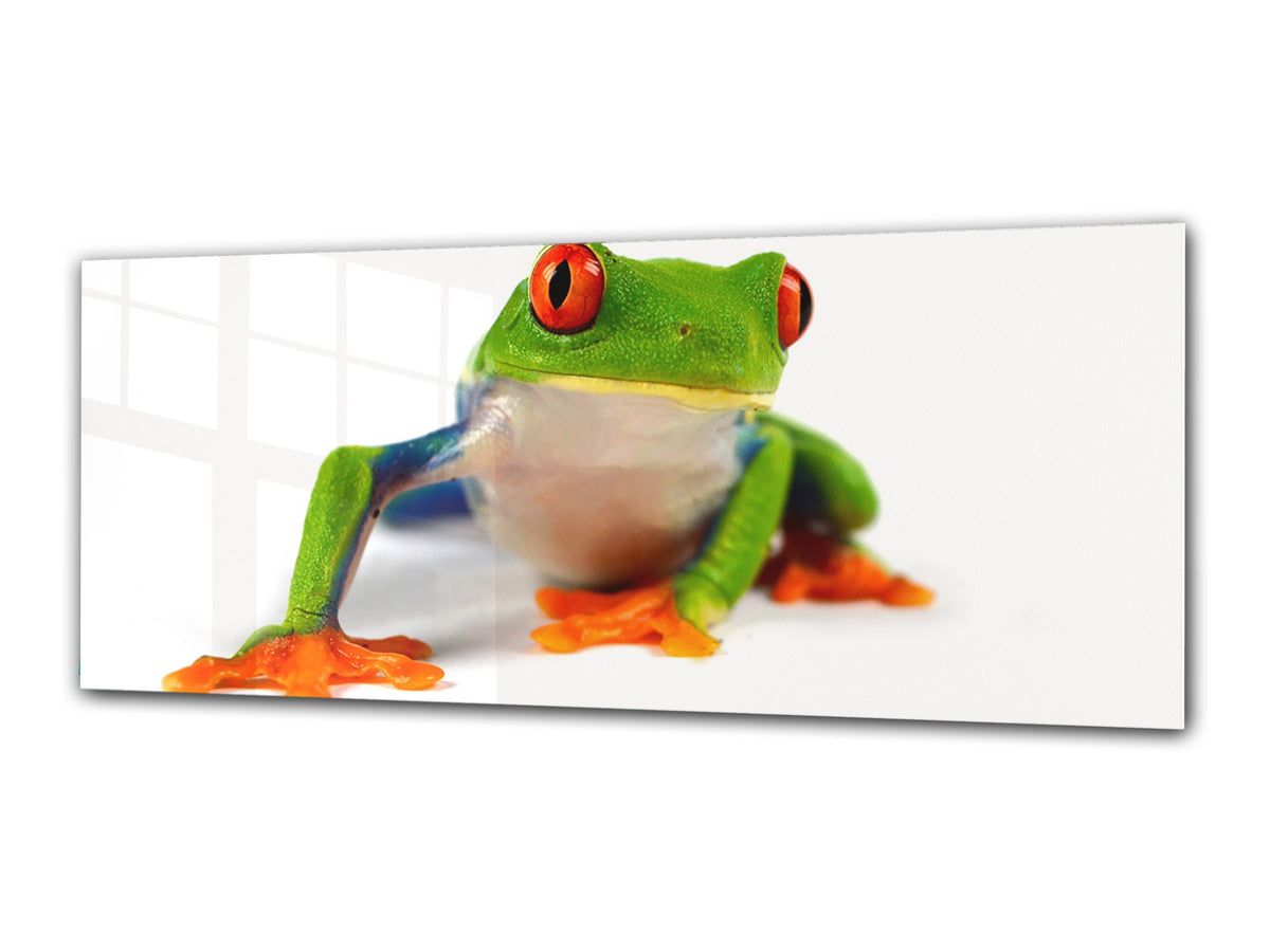 Glass Print Wall Art – Image on Glass 125 x 50 cm (? 50” x 20”) ; Mr. Frog