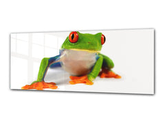 Glass Print Wall Art – Image on Glass 125 x 50 cm (? 50” x 20”) ; Mr. Frog