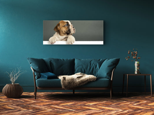 Glass Print Wall Art – Image on Glass 125 x 50 cm (? 50” x 20”) ; Puppy
