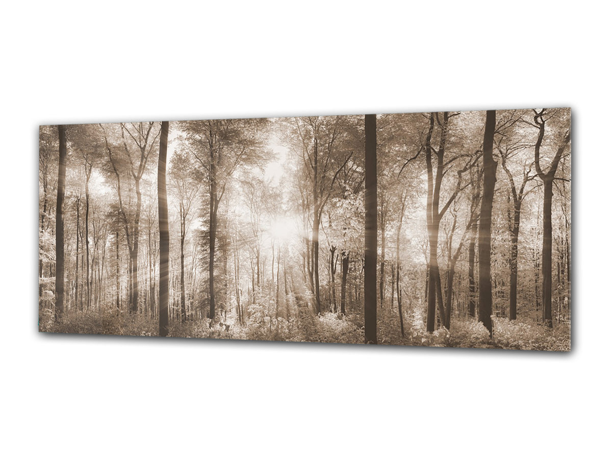 Glass Print Wall Art – Image on Glass 125 x 50 cm (? 50” x 20”) ; Trees 8