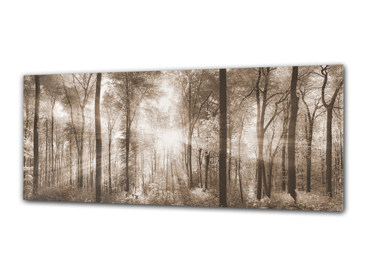 Glass Print Wall Art – Image on Glass 125 x 50 cm (? 50” x 20”) ; Trees 8