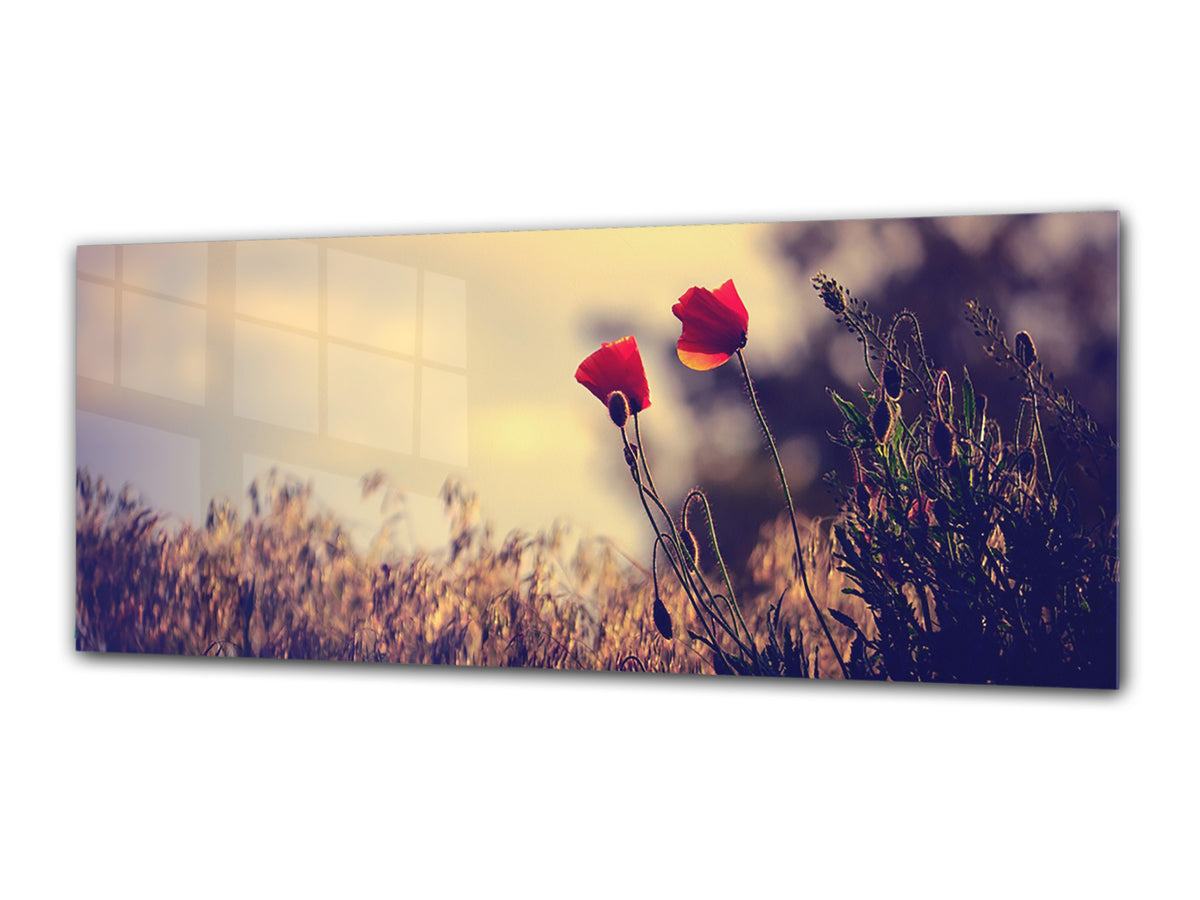 Glass Print Wall Art – Image on Glass 125 x 50 cm (? 50” x 20”) ; Poppies 6