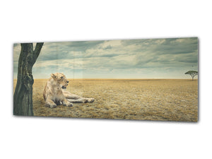 Wall Art Glass Print Picture 125 x 50 cm (≈ 50” x 20”) ; Lion