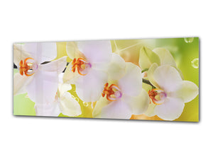 Glass Print Wall Art – Image on Glass 125 x 50 cm (≈ 50” x 20”) ; Orchid 4