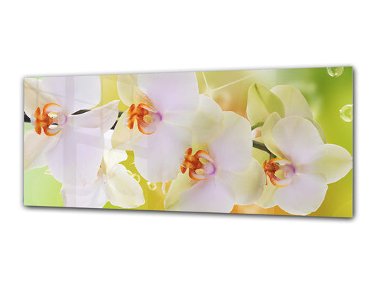 Glass Print Wall Art – Image on Glass 125 x 50 cm (? 50” x 20”) ; Orchid 4
