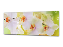 Glass Print Wall Art – Image on Glass 125 x 50 cm (? 50” x 20”) ; Orchid 4