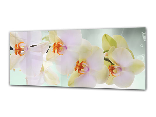 Glass Print Wall Art – Image on Glass 125 x 50 cm (? 50” x 20”) ; Flower 13