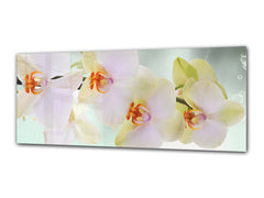 Glass Print Wall Art – Image on Glass 125 x 50 cm (? 50” x 20”) ; Flower 13