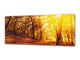 Glass Print Wall Art – Image on Glass 125 x 50 cm (≈ 50” x 20”) ; Forest 11