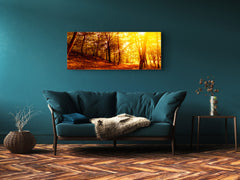 Glass Print Wall Art – Image on Glass 125 x 50 cm (? 50” x 20”) ; Forest 11