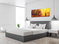 Glass Print Wall Art – Image on Glass 125 x 50 cm (? 50” x 20”) ; Forest 11