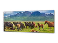 Wall Art Glass Print Picture 125 x 50 cm (≈ 50” x 20”) ; Horses 3