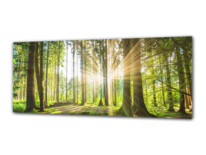 Glass Print Wall Art – Image on Glass 125 x 50 cm (≈ 50” x 20”) ; Forest 8
