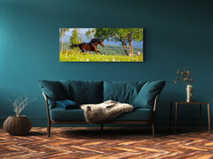 Arte mural con impresión en vidrio: imagen sobre vidrio de 125 x 50 cm (≈ 50” x 20”); Caballo