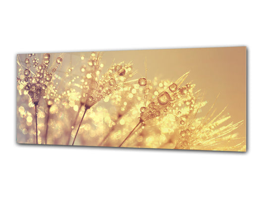 Wandbild hinter gehärtetem Glas 125 x 50 cm (≈ 50” x 20”) ; Wassertropfen 1