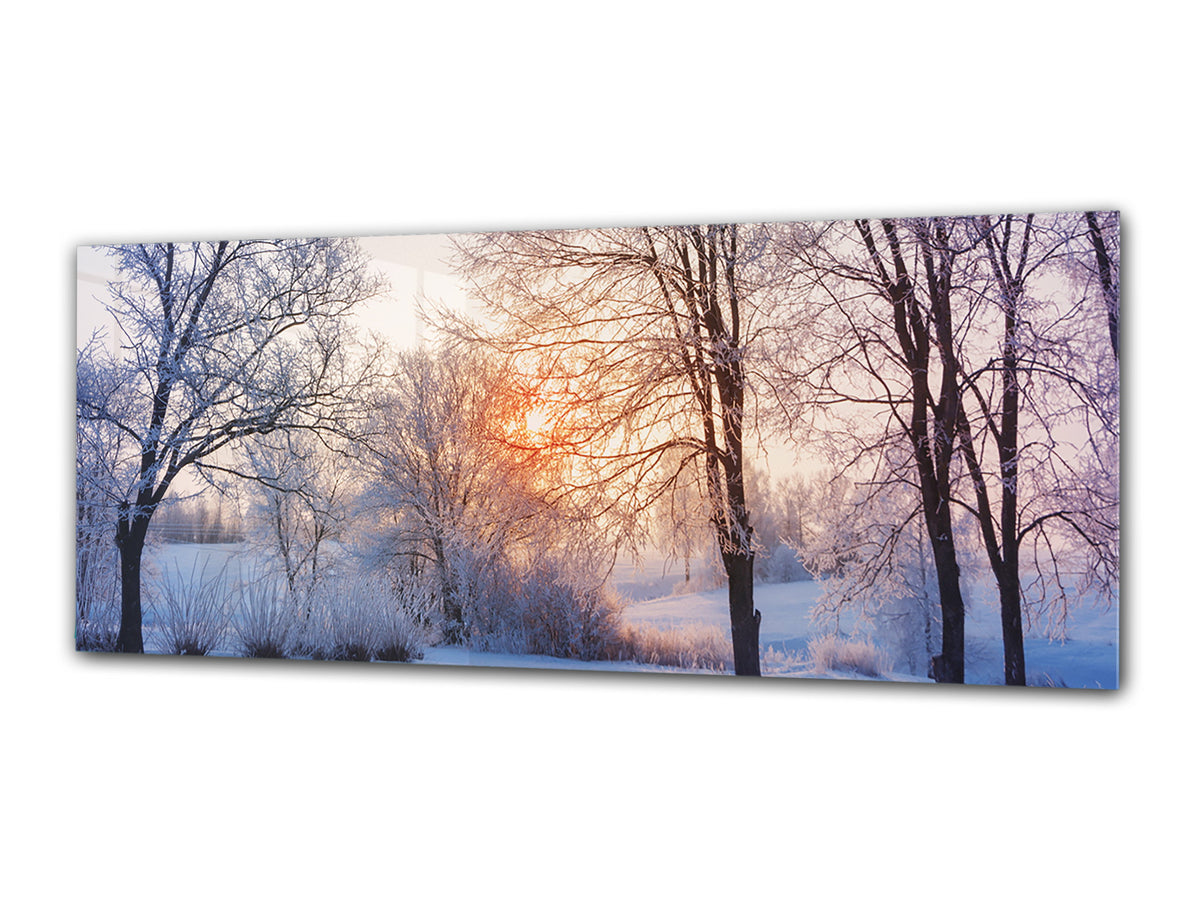 Glass Print Wall Art – Image on Glass 125 x 50 cm (? 50” x 20”) ; Trees 6