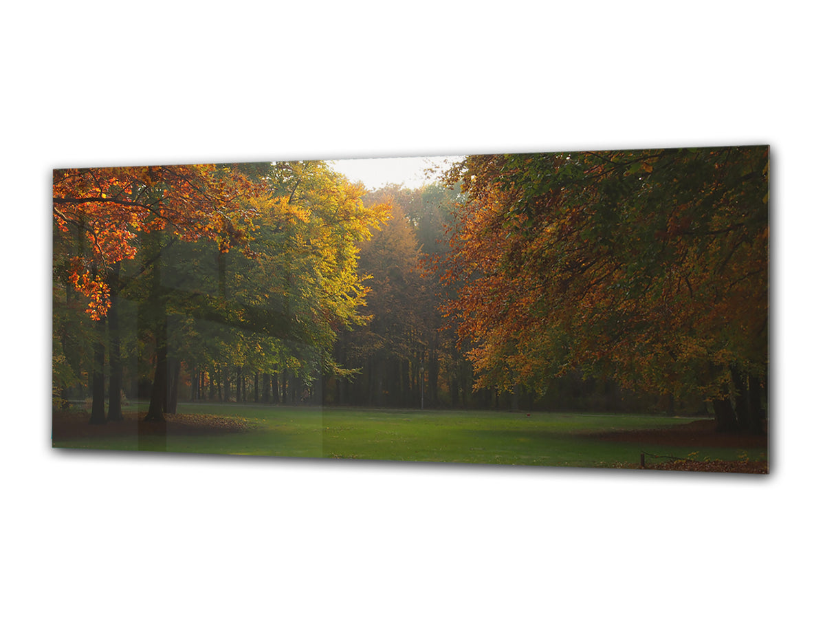 Arte mural con impresión en vidrio: imagen sobre vidrio, 125 x 50 cm (≈ 50” x 20”); Bosque 2