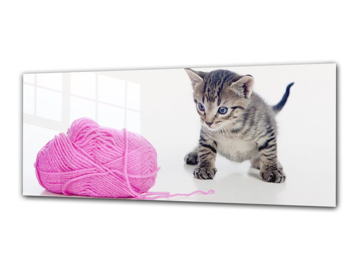 Glass Print Wall Art – Image on Glass 125 x 50 cm (? 50” x 20”) ; Kitty 3