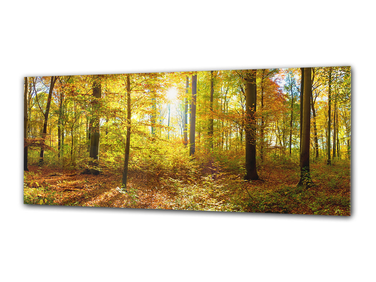 Glass Print Wall Art – Image on Glass 125 x 50 cm (? 50” x 20”) ; Forest 14