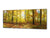 Glass Print Wall Art – Image on Glass 125 x 50 cm (≈ 50” x 20”) ; Forest 14