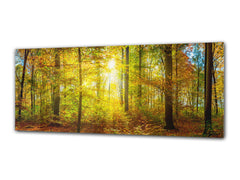 Glass Print Wall Art – Image on Glass 125 x 50 cm (? 50” x 20”) ; Forest 12