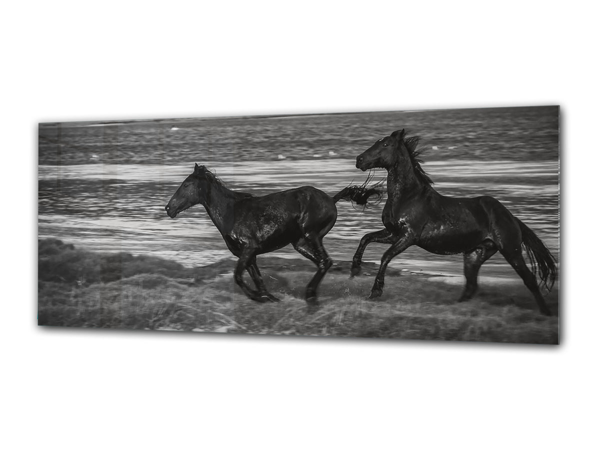 Glass Print Wall Art – Image on Glass 125 x 50 cm (? 50” x 20”) ; Horses 2