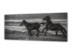 Glass Print Wall Art – Image on Glass 125 x 50 cm (? 50” x 20”) ; Horses 2