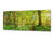 Glass Print Wall Art – Image on Glass 125 x 50 cm (≈ 50” x 20”) ; Forest 15