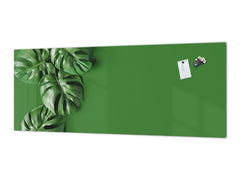 Stunning glass wall art - Wide format kitchen backsplash with and without metal back-coating - Tropical Leaves Series: Green monstera deliciosa